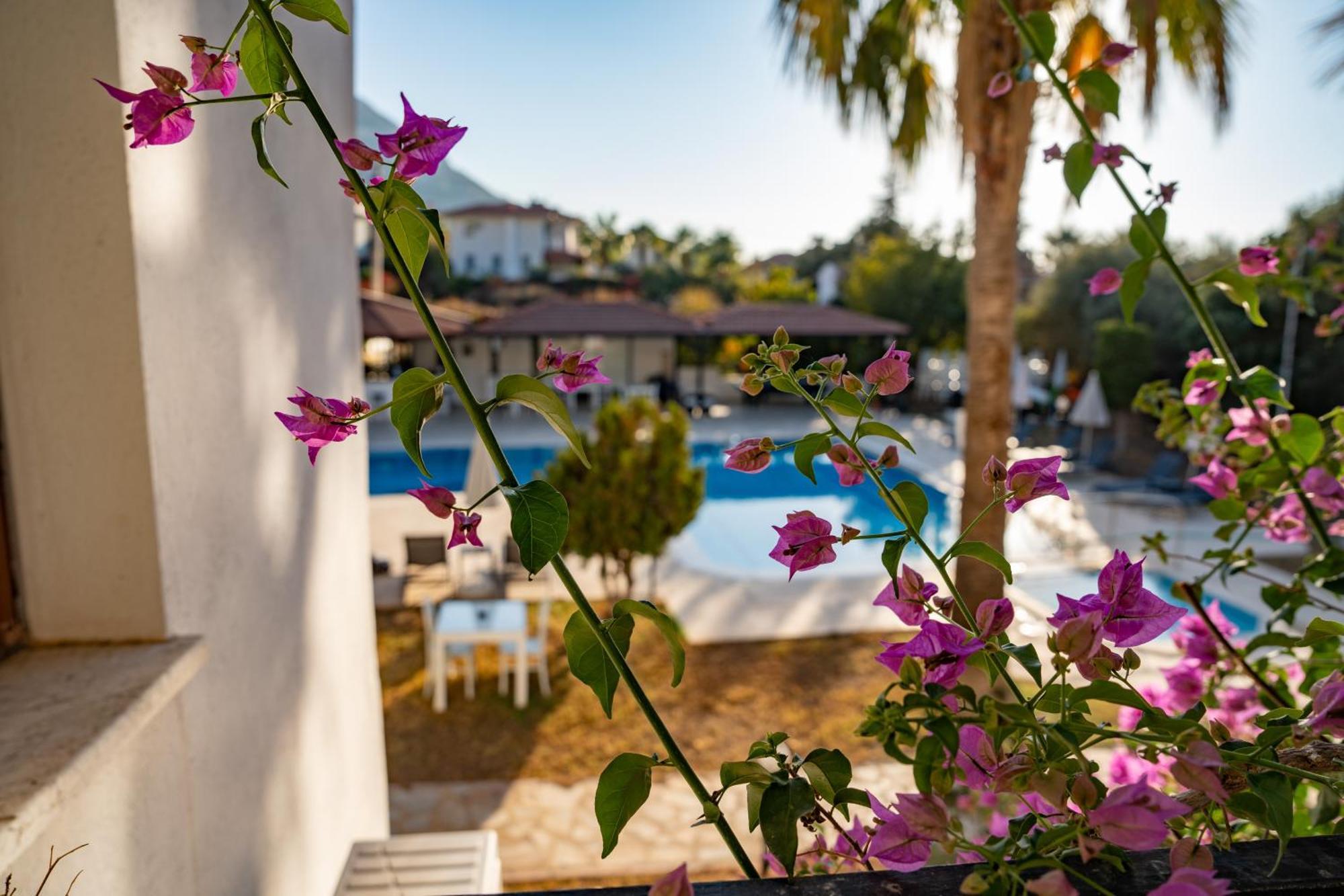 Carrington Suites Ölüdeniz Zewnętrze zdjęcie